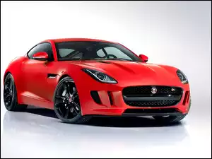 Jaguar, F