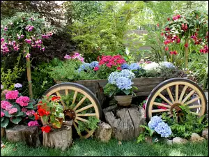 Wózek, Ogród, Kwiaty