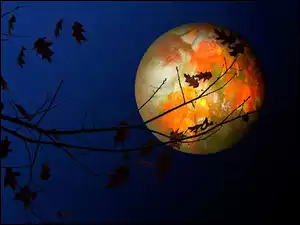 Gałęzie, Noc, Księżyc, Planeta, Drzewo