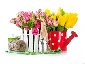 Kwiaty, Konewka, Róże, Tulipany