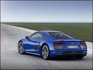 Niebieskie, Tył, Audi, R8