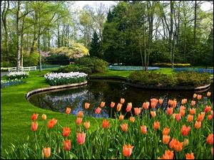 Park, Tulipany, Keukenhof, Staw