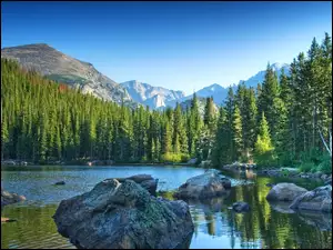 Skałki, Jasper, Jezioro, Park, Góry, Alberta, Las, National