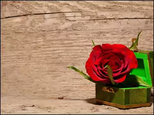 Kwiat, Piasek, Róża, Szkatułka