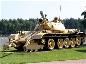 Czołg, Trawa, T-55, Drzewa