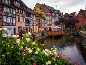 Domy, Francja, Rzeka, Kwiaty
