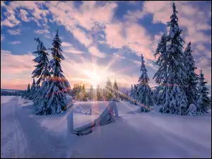 Droga, Norwegia, Wschód Słońca, Zima, Poranek