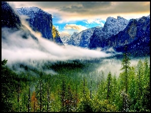Góry, Yosemite, Lasy, Mgła