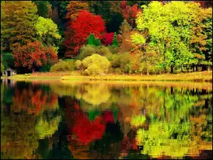 Kolorowe, Domek, Jezioro, Jesień, Las, Drzewa