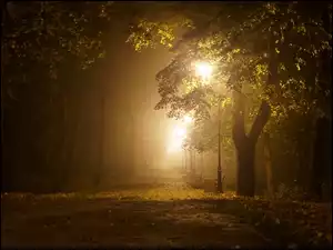 Noc, Latarnie, Park, Mgła, Drzewa, Alejka