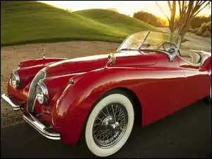 Roadster, 1954, XK, Jaguar, 120