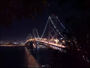Most Bay, Drzewa, San Francisco, Noc, Oświetlony, Rzeka
