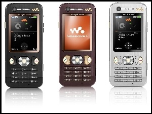 Sony Ericsson W880i, Srebrny, Czarny, Brązowy