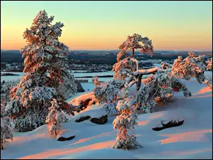 Zima, Zachód Słońca, Ośnieżone Drzewa, Krajobraz