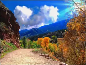 Jesień, Las, Góry, Droga