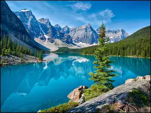 Jezioro, Banff, Góry, Kanada, Lasy, Skały