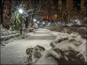 Central Park, USA, Nowy Jork, Zima