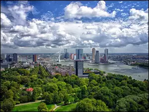Miasto, Rotterdam, Holandia