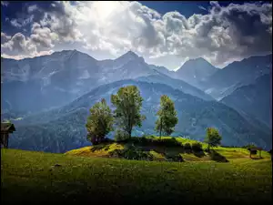 Łąka, Przebijające, Las, Austria, Góry, HDR, Chmury, Światło