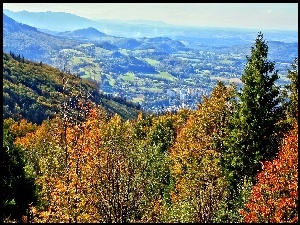 Góry, Panorama, Śląski, Beskid, Las, W Dolinie, Ustronia