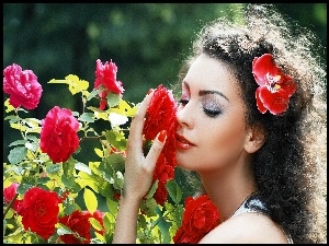 Włosach, Makijaż, Kwiat, Róży, Kobieta, Park, We, Krzew