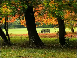 Ławka, Jesień, Park