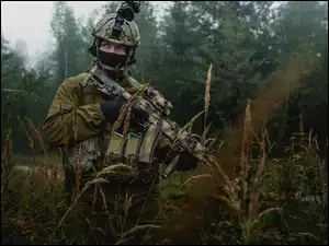 Żołnierz, Trawa, Polskich Sił Specjalnych, Las