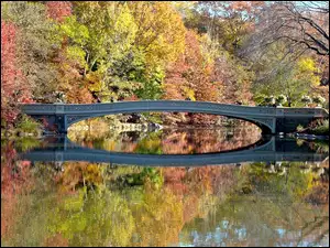 Most, Jesień, Park, Central, Rzeka