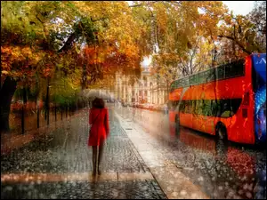 Ulica, Kobieta, Jesień, Parasol, Deszcz, Autobus