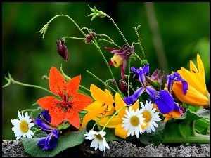 Bukiet, Murek, Kwiatów, Liść