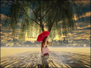 Deszcz, Kobieta, Parasolka, Czerwona, Drzewo