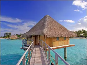 Domek na Wodzie, Bora Bora, Morze, Polinezja Francuska, Laguna, Palmy