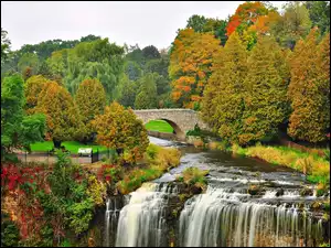 Most, Drzewa, Park, Jesień, Rzeka, Wodospad