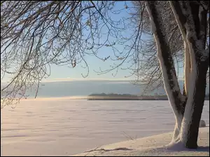 Zima, Drzewo, Jezioro