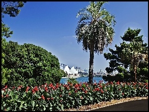 Sydney, Park, Panorama