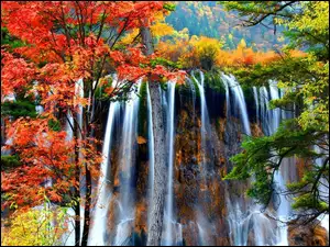 Drzewa, Jesień, Wodospad