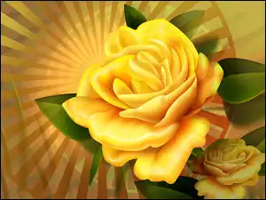 Liście, Żółta, Róża