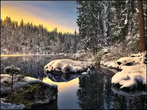 Las, Wschód Słońca, Zima, Jezioro, Śnieg