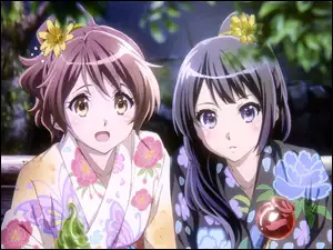 Hibike! Euphonium, anime, Oumae Kumiko, Kousaka Reina
