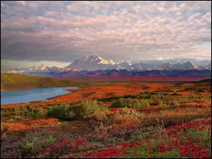 Jezioro, Denali, Park, Alaska, Roślinność, Narodowy, Góry