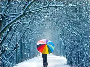 Parasol, Droga, Śnieg