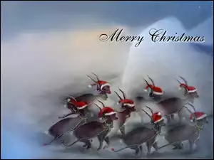 Boże Narodzenie, Merry Christas