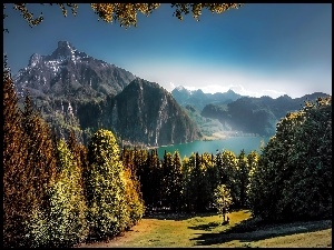 Austria, Lasy, Góry, Jezioro