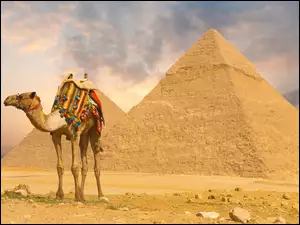 Siodło, Wielbłąd, Piramidy