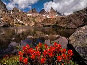 Jezioro, Kwiaty, Góry, Czerwone