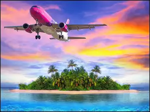 Ocean, Różowy, Wyspa, Samolot, Palmy