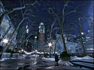 Miasto, Zima, Stany Zjednoczone, Drzewa, Nowy Jork, Noc
