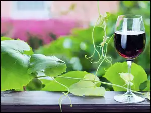 Kieliszek, Liście, Wino, Pnącze