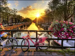 Poranek, Rowery, Amsterdam, Kwiaty, Rzeka, Most