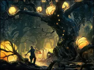 Lampion, Drzew, Las, Fantasy, Światła, Korzenie, Chłopak